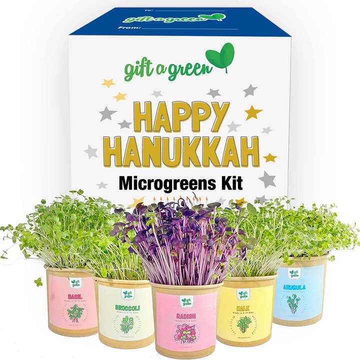 Gift Box - Happy Hanukkah Day for wholesale by giftagreen