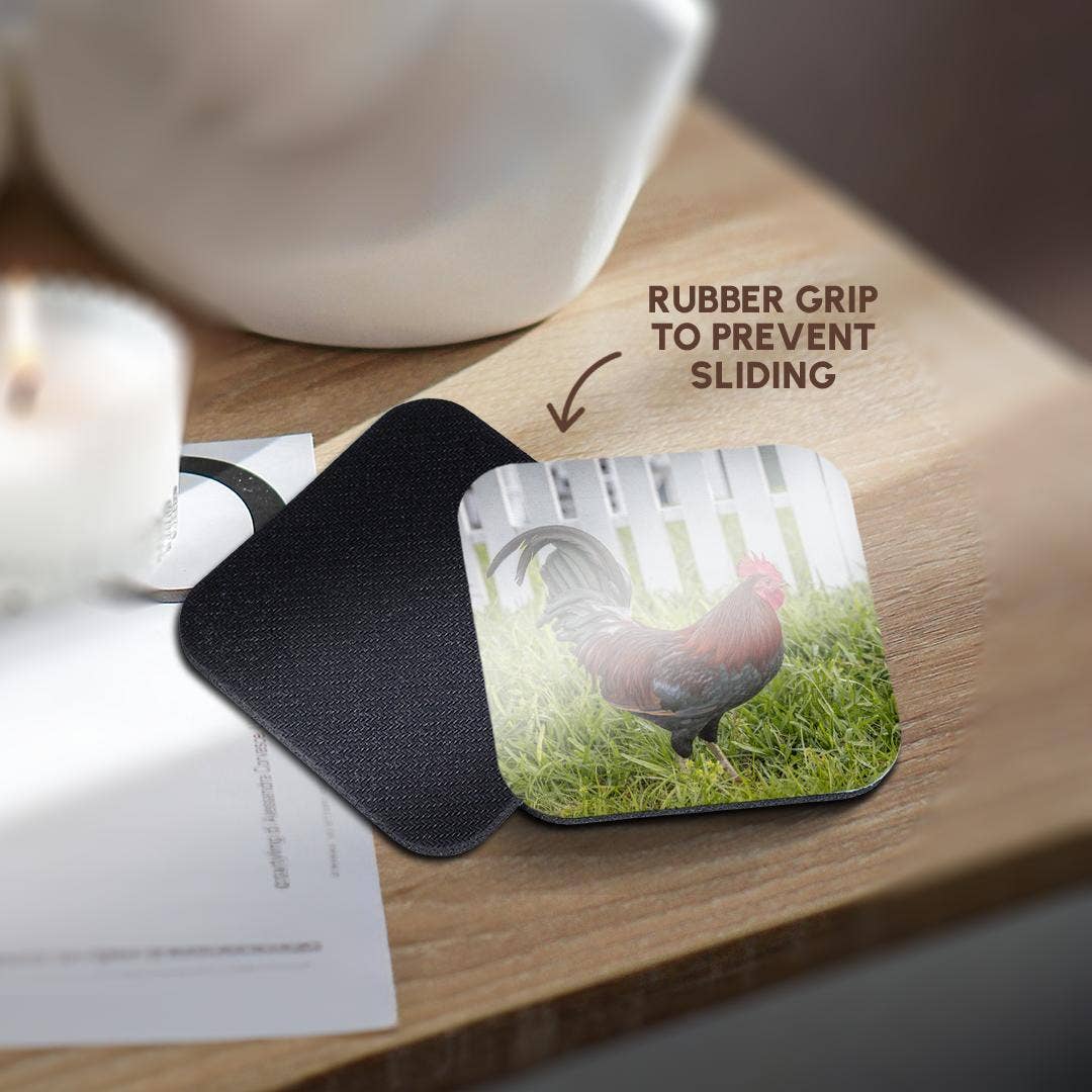 3dRose - Wholesale Coasters - 3dRose, Cubalaya Gypsy Rooster in Key West, Florida, USA., Coaster10