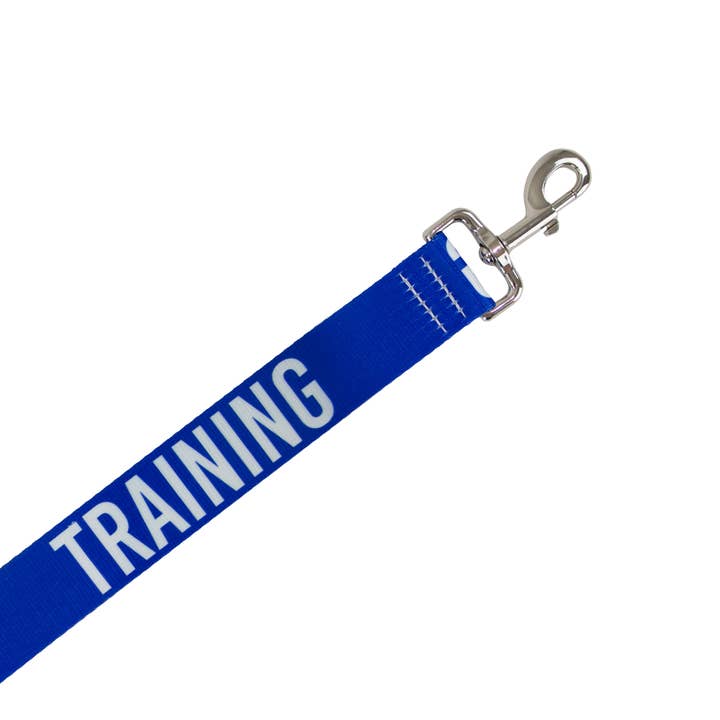 Ancol Pet Products Ltd - Wholesale Pet leash – Dog - Awareness Training & Safety Dog lead 1.5m 'CAUTION' 3
