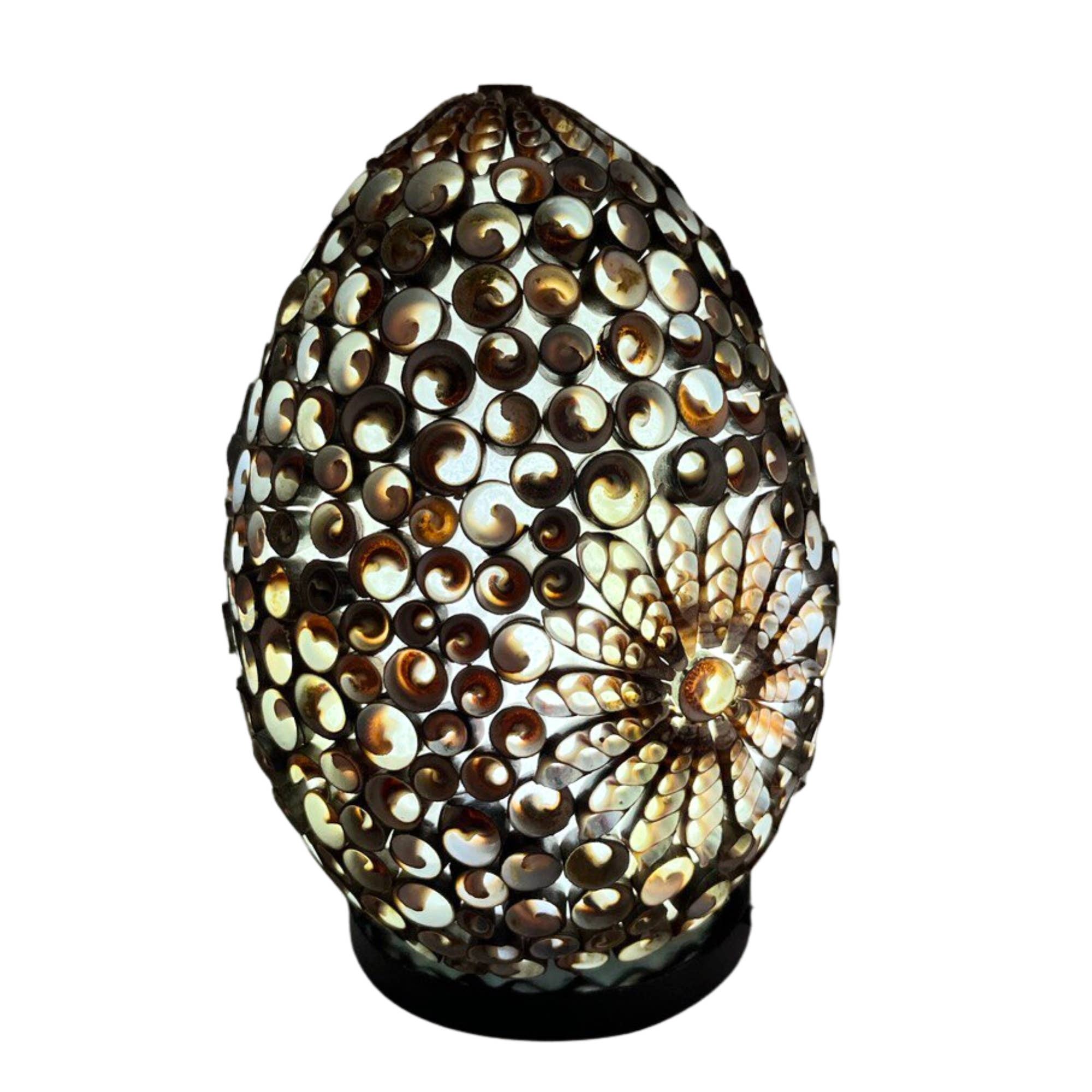 AWGifts Europe - Vente Lampes d'appoint/de bureau - Lampe Boho Sea Shell, ovale Chocolate Twist, 20 cm2