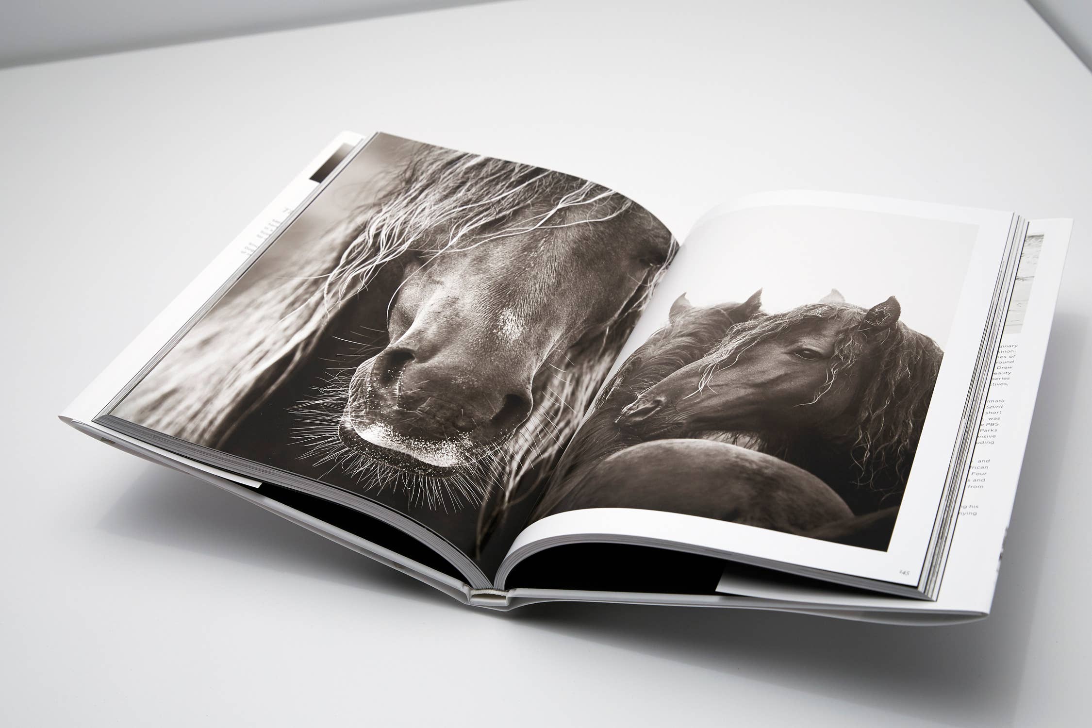 Drew Doggett Photography - Vendita all'ingrosso Display Book - Wild: I leggendari cavalli di Sable Island3