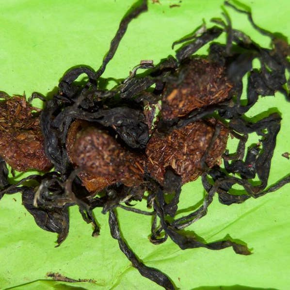 Empire ottoman pour la vente par Té House of Tea