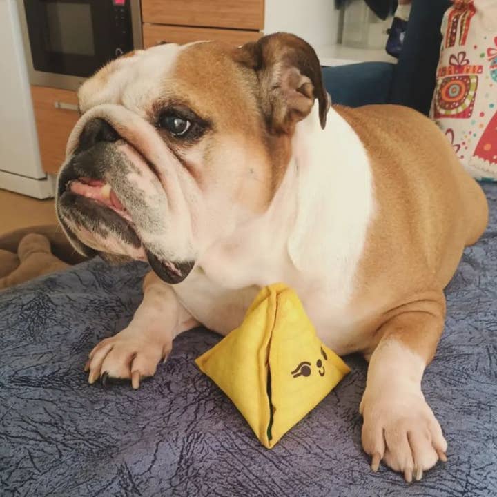 WufWuf - Wholesale Speeltje - Hond - WufWuf 2-in-1 Pyramid Interactive Treat Dispensing Hondenspeelgoed5