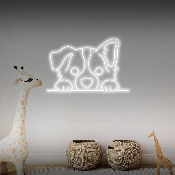 Border collie puppy ledneon for wholesale by Helloneon