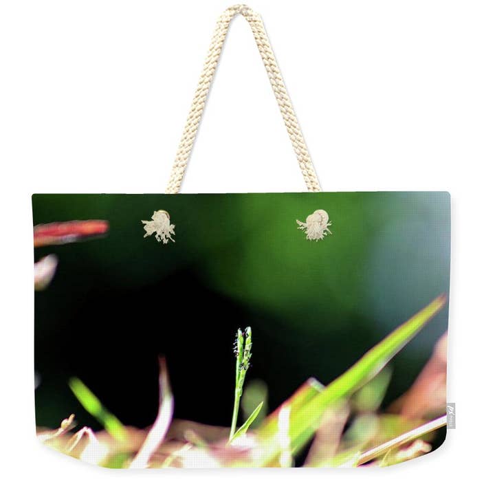 BOLSA DE FIN DE SEMANA - BOLSA DE FIN DE SEMANA «THE NATURAL COLORFUL» para venta al por mayor de sorayadapuzzostore