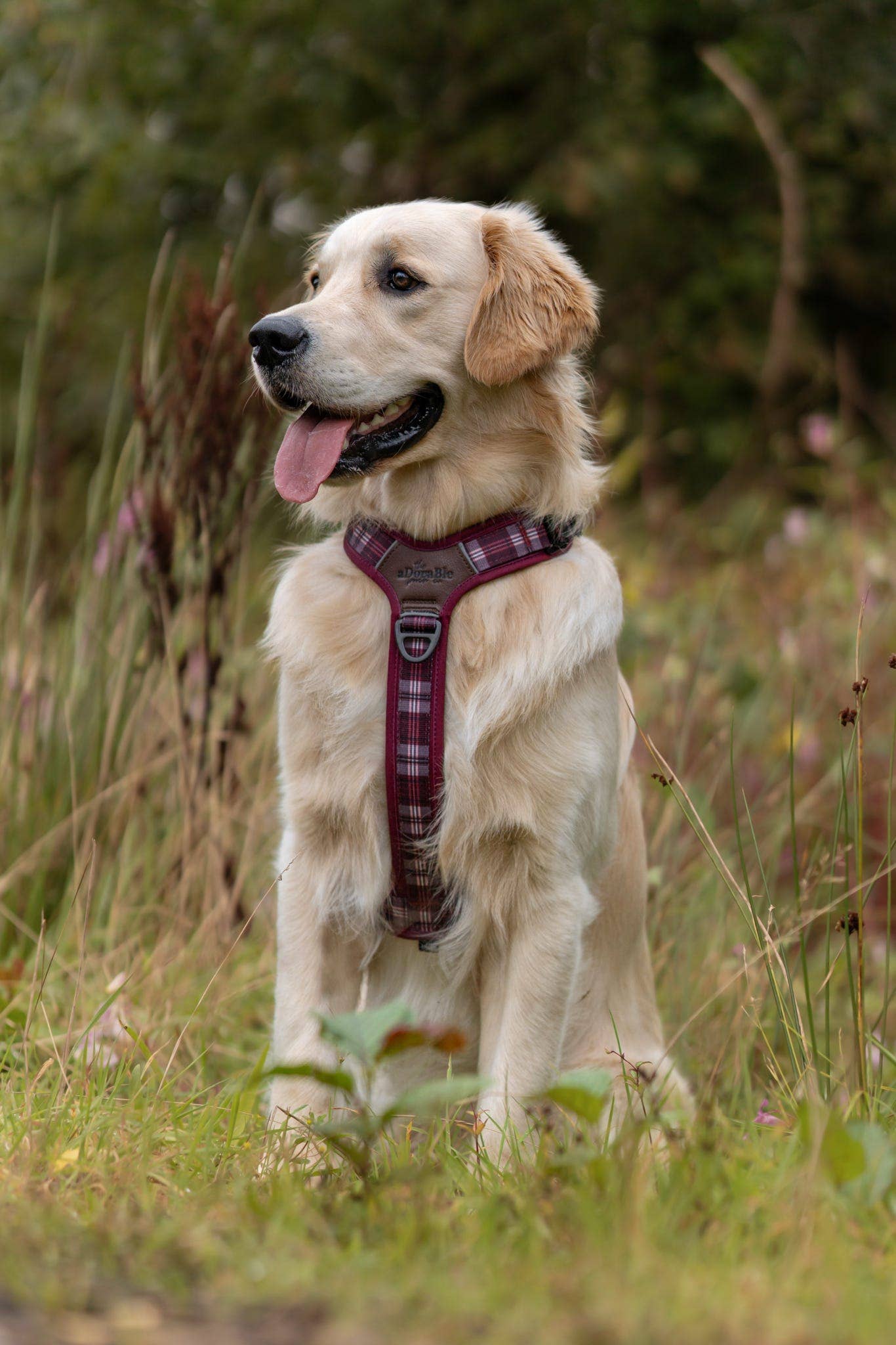 The aDoraBle Pooch Company - Wholesale Pet Harness - Dog - Streamline Pro™ Dog Harness - Heritage Collection - Merlot Manor6