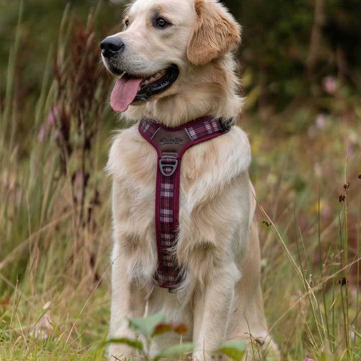The aDoraBle Pooch Company - Wholesale Pet Harness - Dog - Streamline Pro™ Dog Harness - Heritage Collection - Merlot Manor6