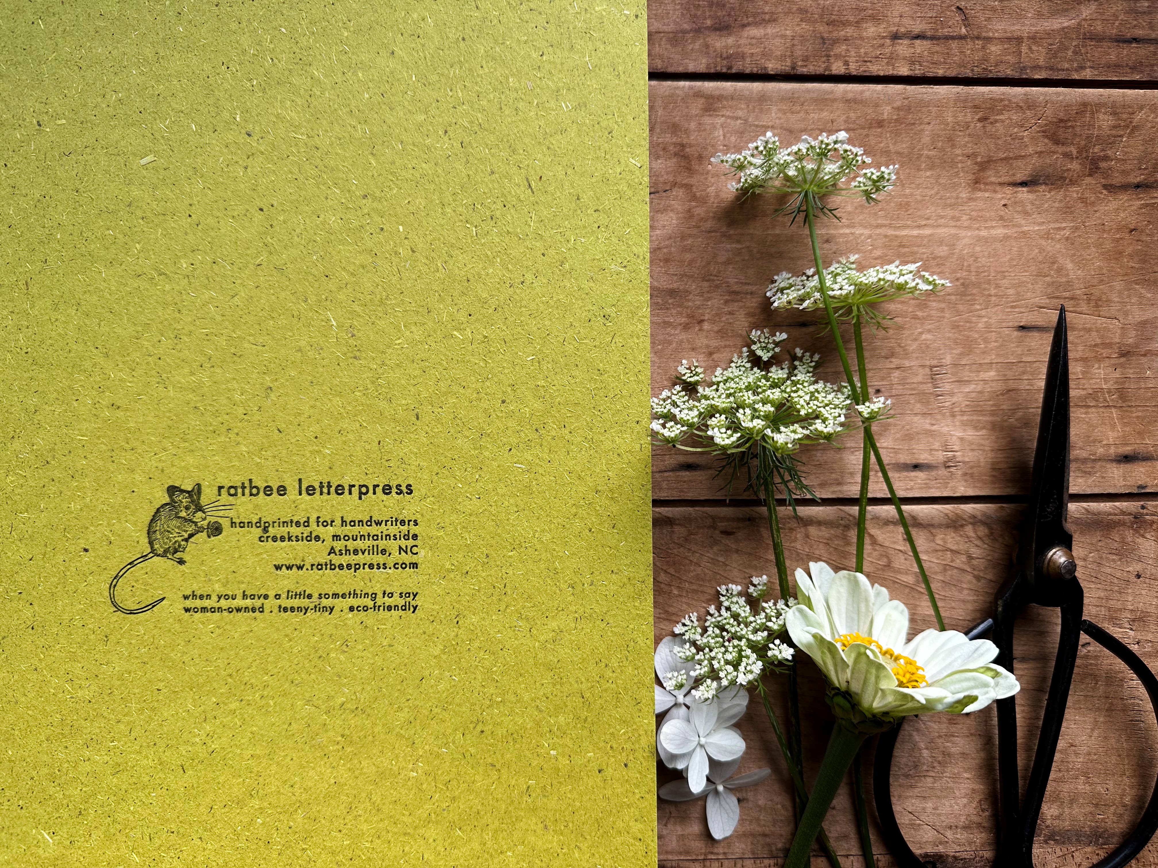 Ratbee Press - Vendita all'ingrosso Calendario - Calendario lunare 2026, fasi lunari, regalo di Natale 2025, muschio4