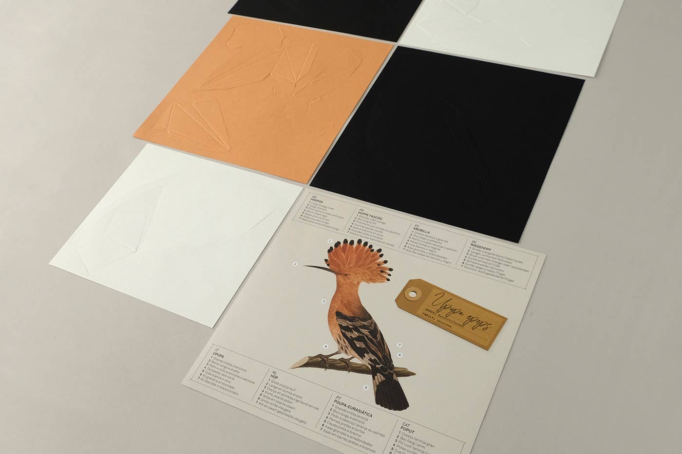 Today is Art Day - Wholesale Doe-het-zelf-knutselset - Hoopoe - 3D-papieren vogelfiguur van Pego6