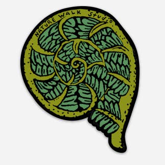 Nature Walk - Wholesale Sticker - Fiddlehead Fern Waterproof Decal