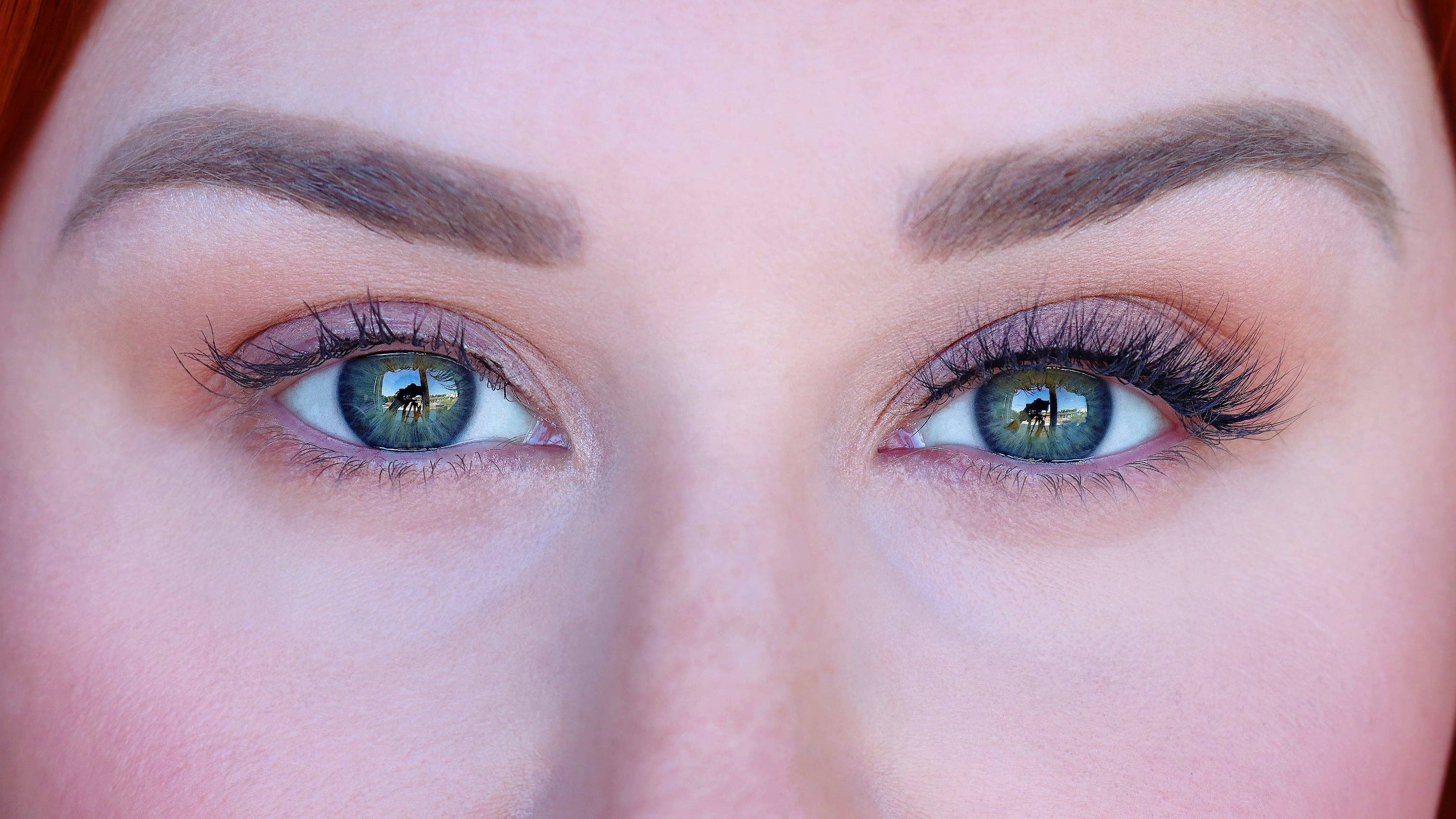 Silly George - Vendita all'ingrosso Ciglia finte - Halley Supernatural Lash6