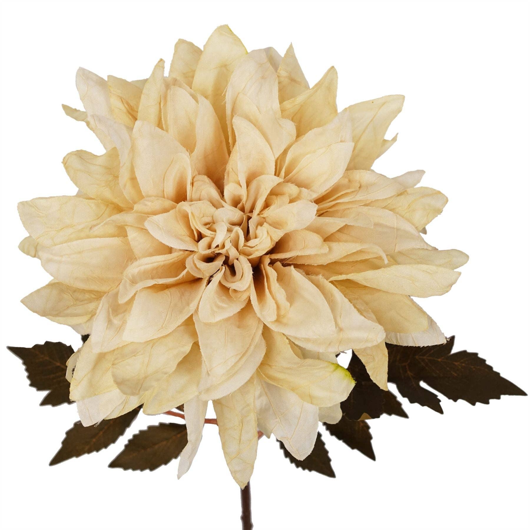 Leaf Design UK LTD – Großhandel Künstliche Blumen – 55 cm Dahlien-Blütenstiel – Staubiges Creme0