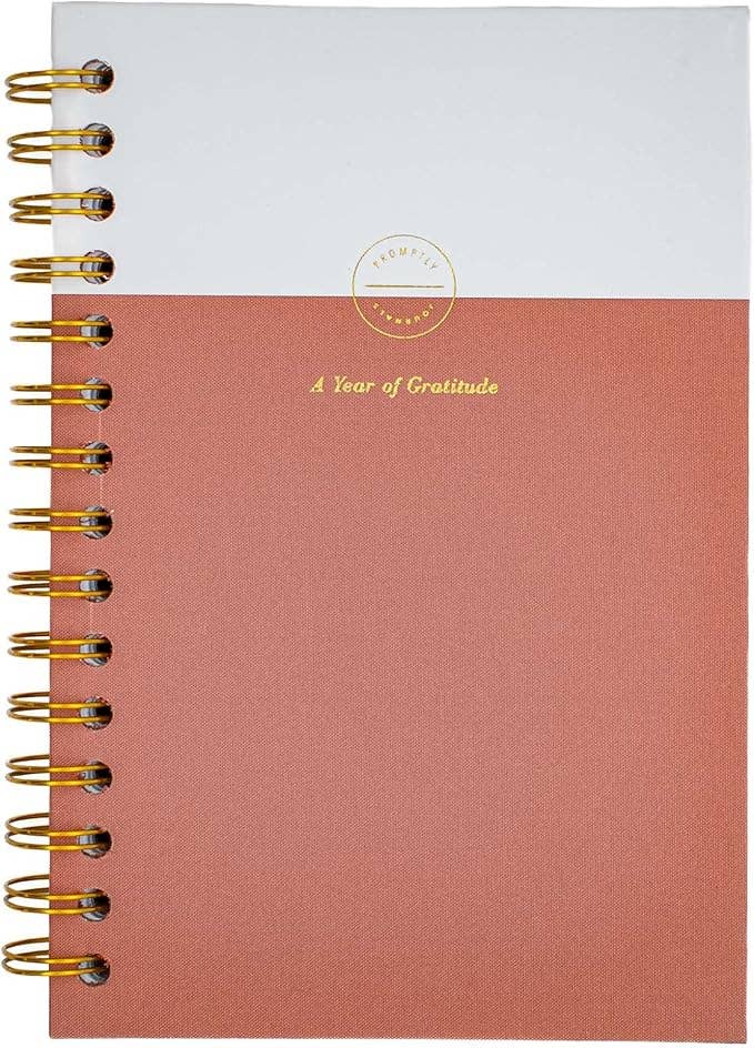 Promptly Journals - Wholesale Dagboek/agenda - Mijn dankbaarheidsdagboek: Een jaar van dankbaarheid schrijfwaren22