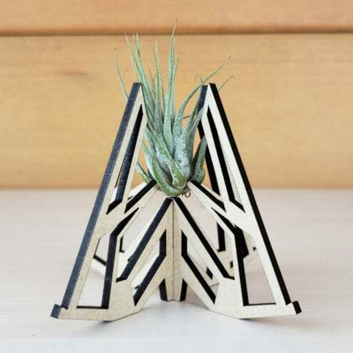 Air Plant Stand - Rocker Tabletop Air Plant Holder for wholesale by Catchpenny