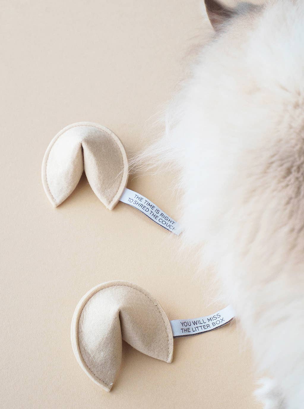 MODERNBEAST – wholesale Leksak - Katt – KITTY FORTUNE COOKIE (tillgängliga alternativ)3