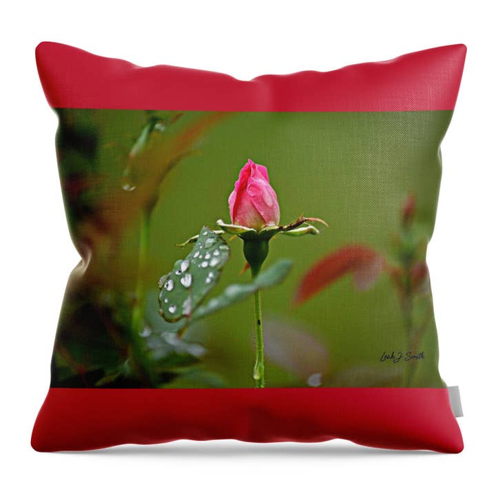 Pink Beauty - Throw Pillow for wholesale by Leah Smith Art