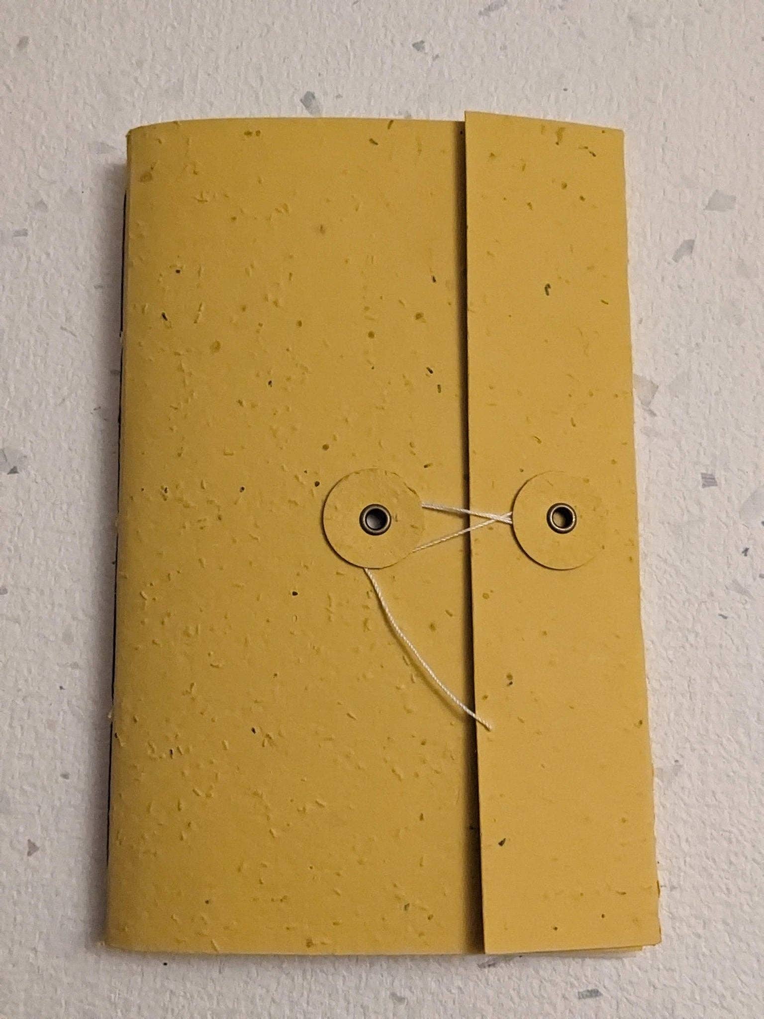 Creative Artifacts HQ - Wholesale Notebook - Large | Plantable Button and String Notebook9