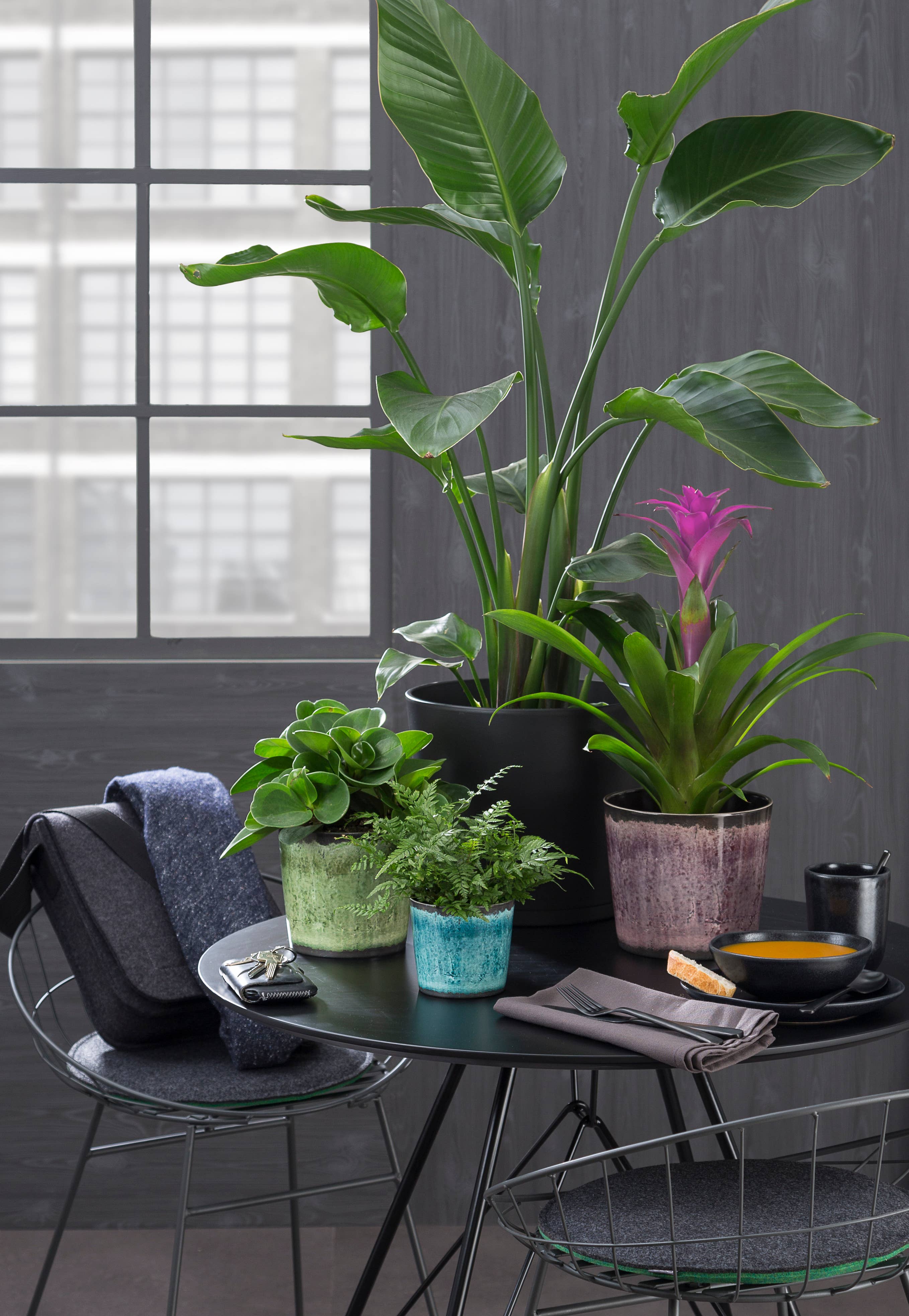 Scheurich - Wholesale Plant Pot - 870 ceramic flower pot/planter2