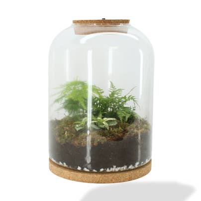 Sandra Classic - h35 d25 cm for engroshandel hos The Living Elements