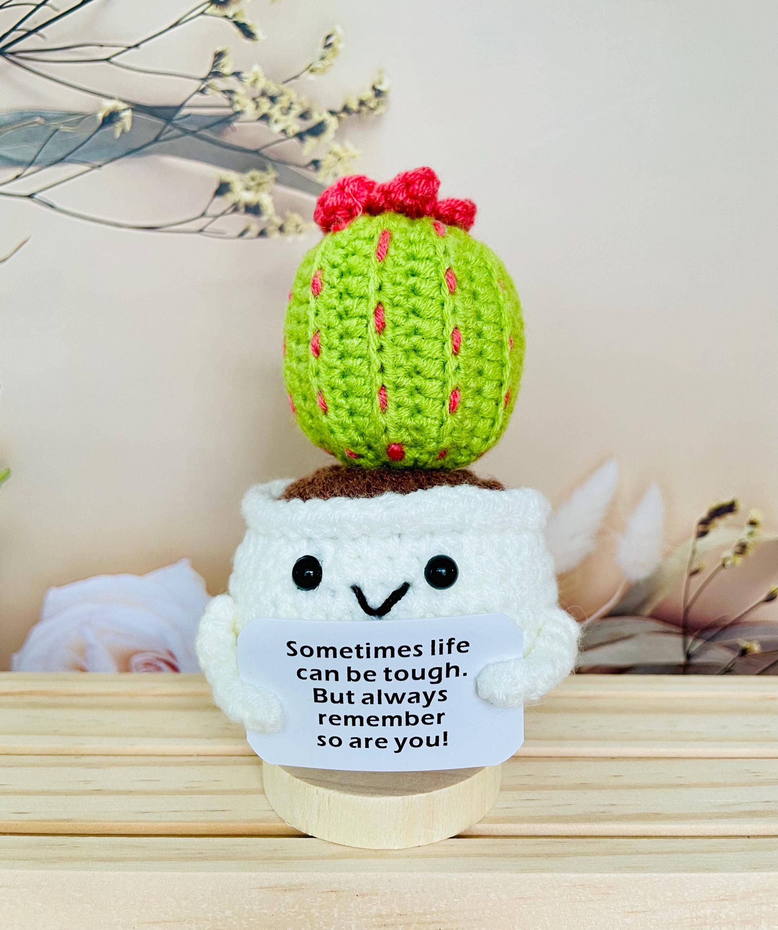 TOMOPOD LLC – wholesale Christmas decoration – Crochet Cactus Succulent Plant Emotional Support0