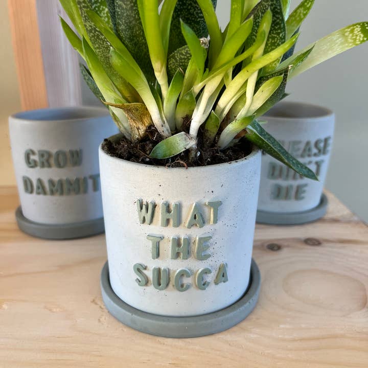 Nora - Wholesale Plant Pot - Funny Succulent Pots