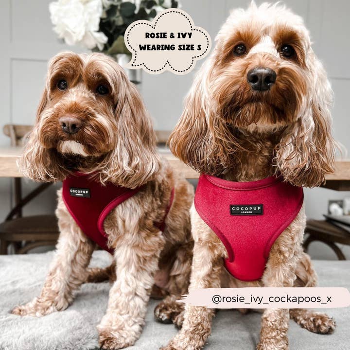 Cocopup London - Wholesale Pet Harness - Dog - LUXE Velvet Adjustable Neck Harness - Berry Red7