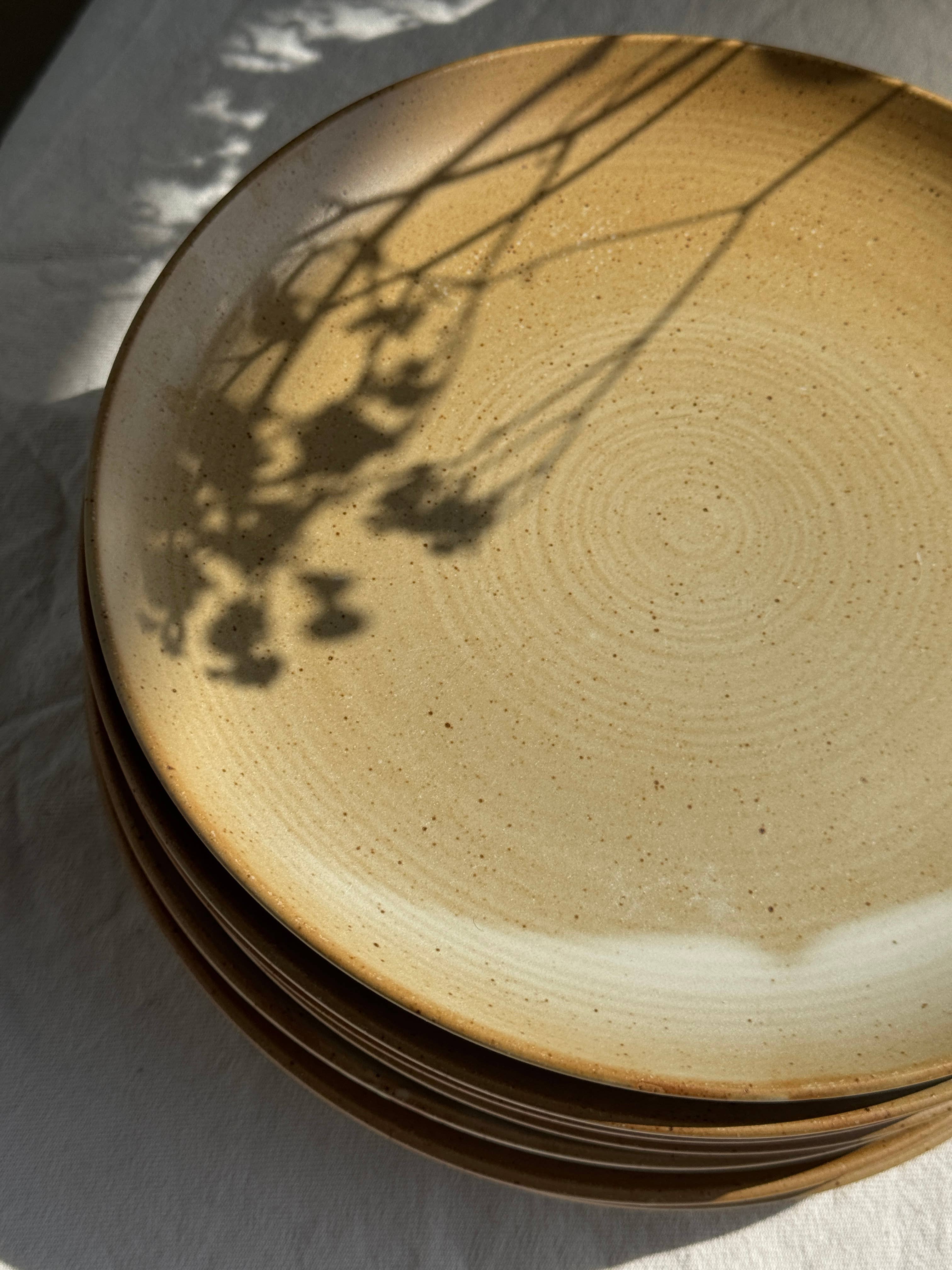 Office Objets - Wholesale Dinner Plate - Set of 6 stoneware plates Village France D2434