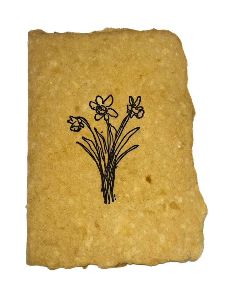 daffodil narcissus flower for wholesale by farmette