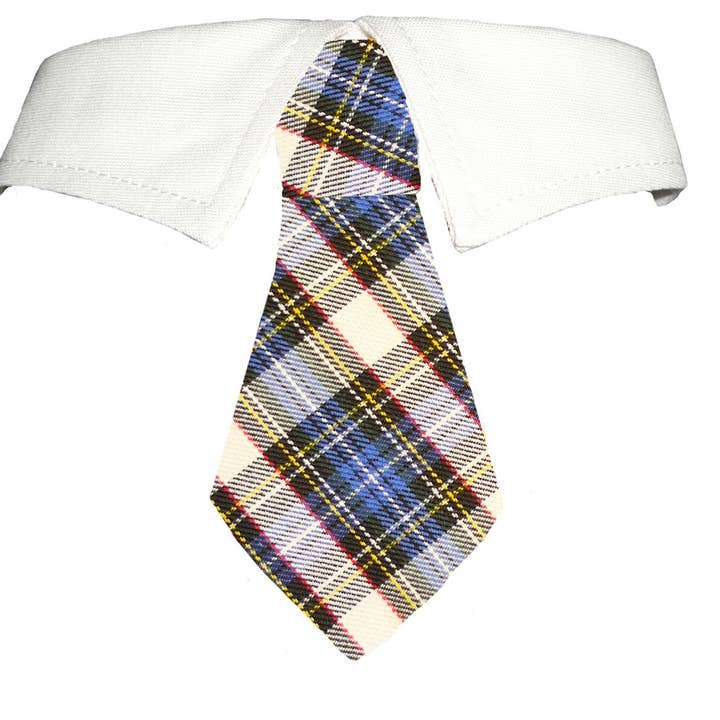 Pooch Outfitters - Wholesale Pet Collar - Dog - Blake Shirt Collar0