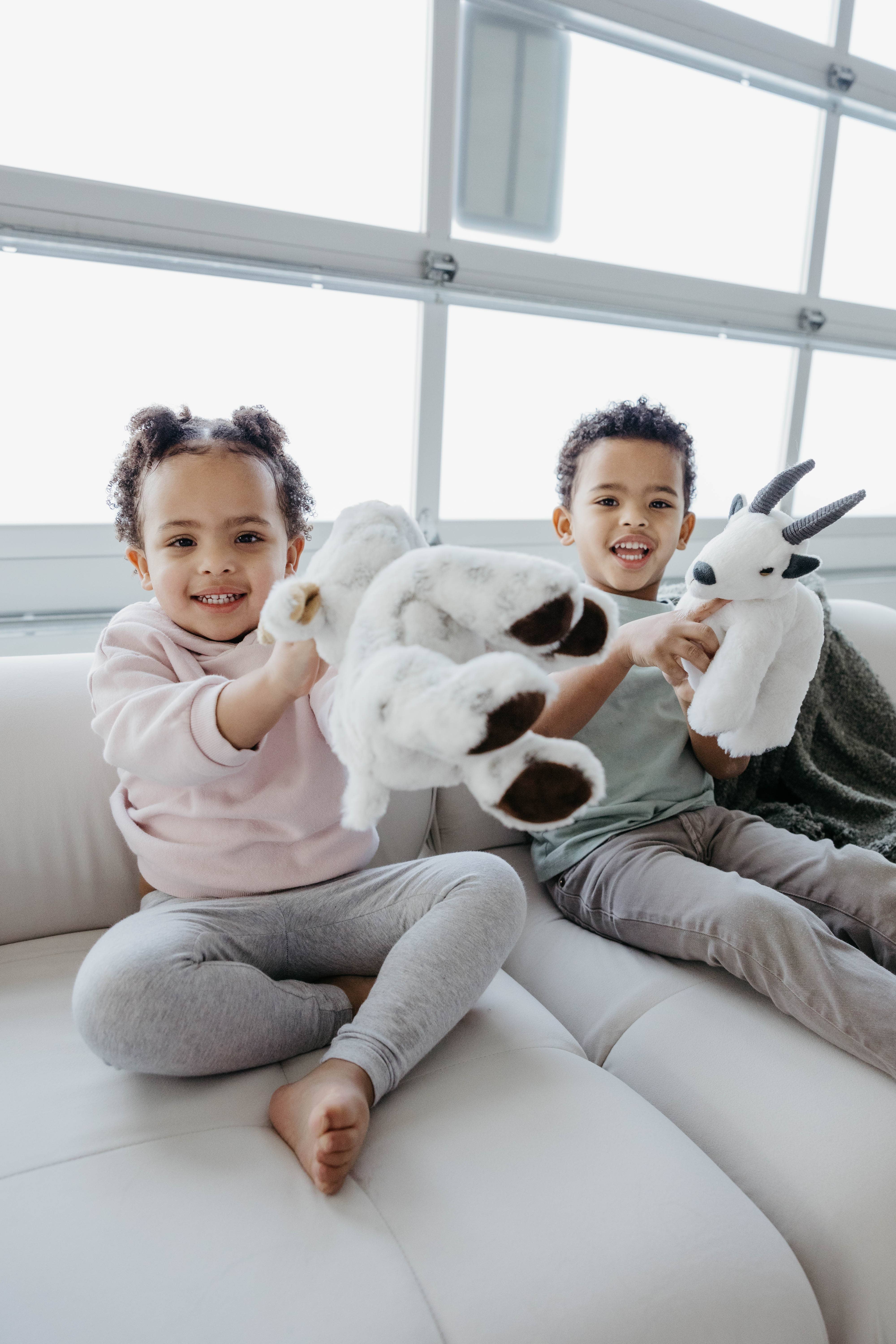 The Petting Zoo - Wholesale Stuffed/Plush Toy - Kids & Baby - 9" (20cm) Wild Onez Goat Farm Plush3