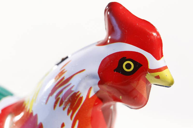 die Blechfabrik e.K. - Vente Jouet à remonter – enfant - coq, asticot en Chine2