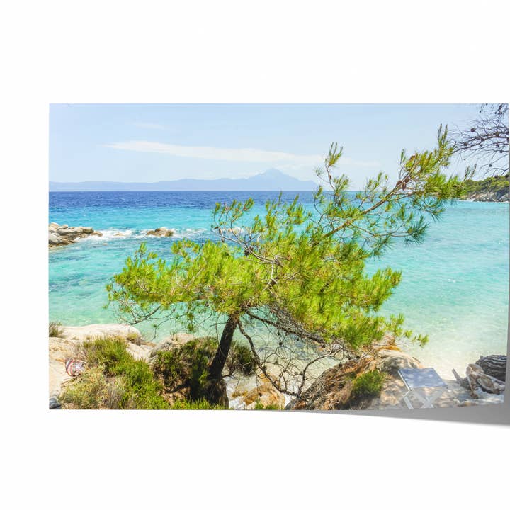 Pin solitaire | Tirage photographique d'art pour la vente par Natasha Riha Photography