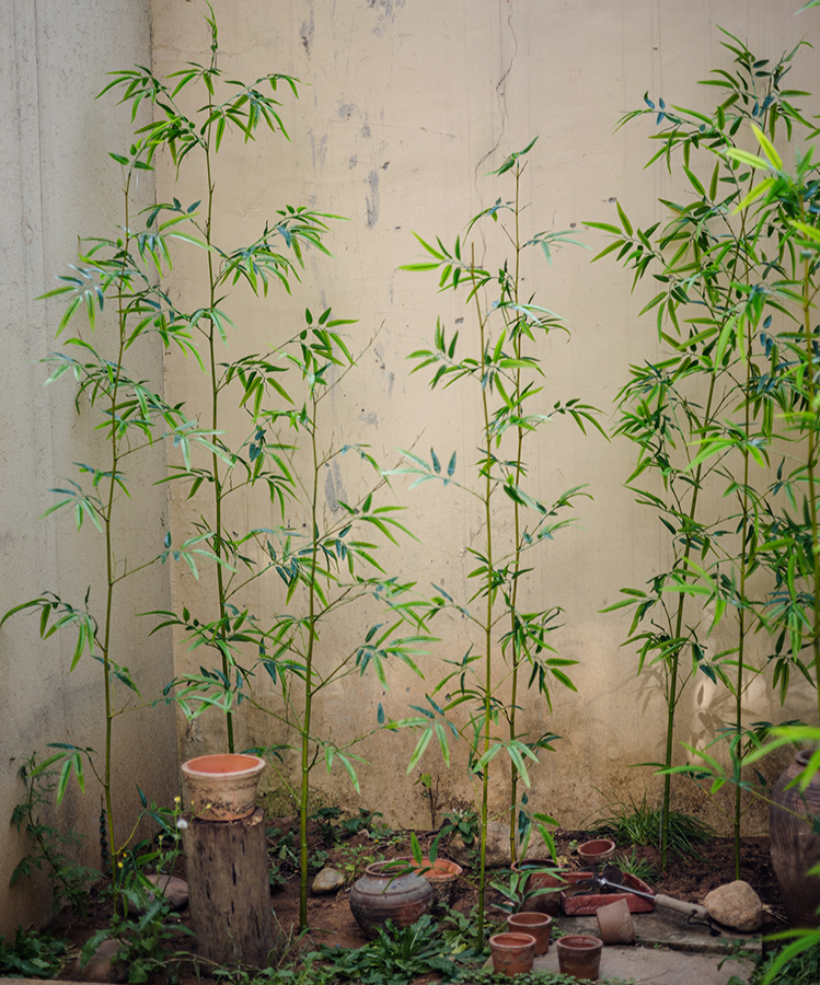 Rustic Reach - Wholesale Artificial Plant - Artificial Bamboo Stem Bamboo Screen Set of 106