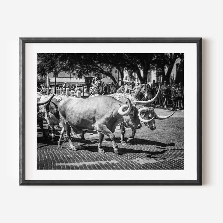 Lisa Russo Fine Art - Wholesale Art Print - Fort Worth Herd | Longhorn Cattle Drive in Black and White4