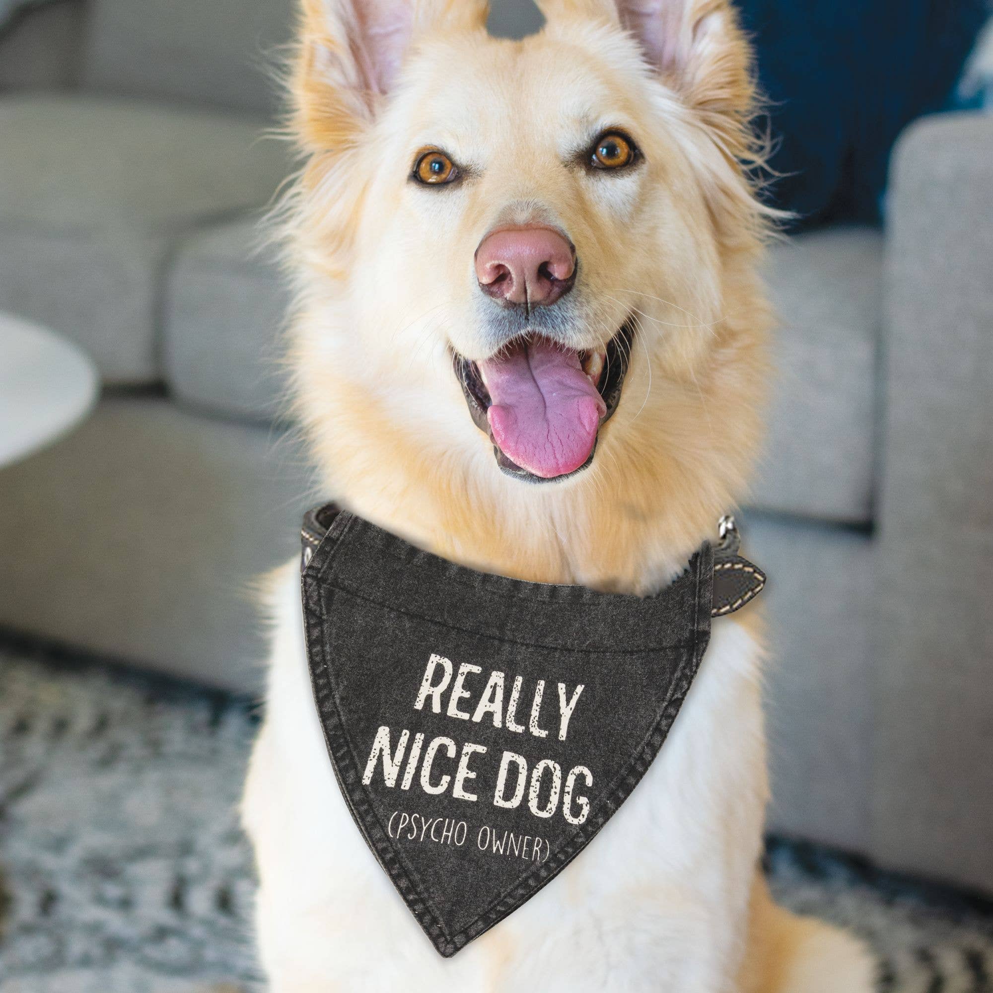 Col House Designs - Wholesale Pet Bandana - Dog - Really Nice Dog (Psycho Owner) Dog Bandana1