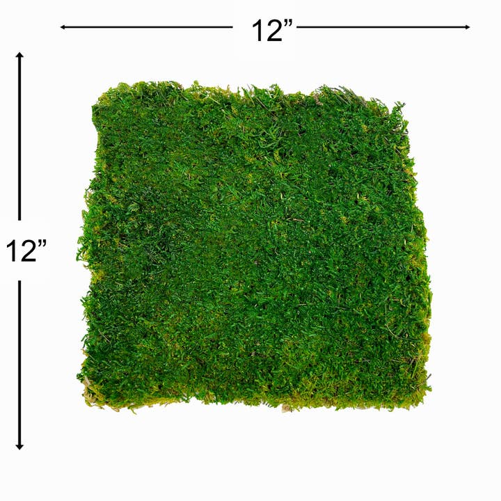 2626 Designs - Wholesale Artificial Plant - Box of 2 12 inch Sheets of Preserved Flat Moss