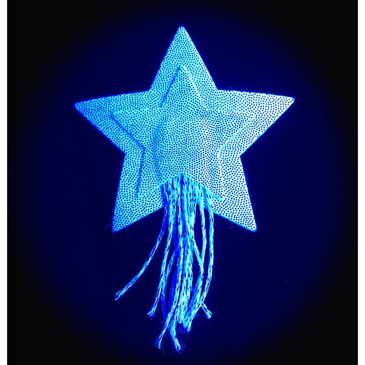 Pastease® - Wholesale Nipple Pasties - Women's - Star Tassel Pasties: Silver Glitter Star with Fringe Pasties