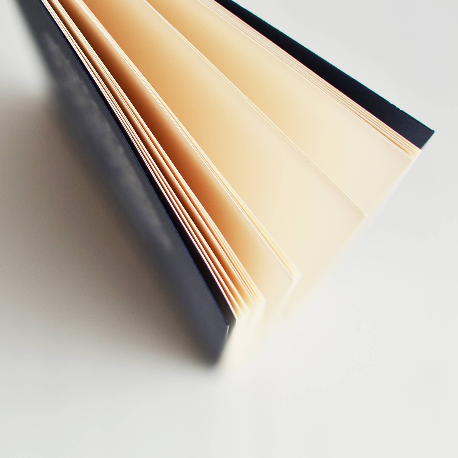 BEIJA-FLOR - Wholesale Notebook - Dahlia notebook3