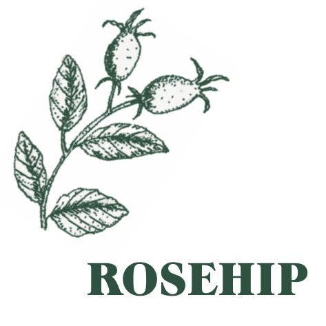 Heaven Scent Incense Ltd - Wholesale Reed Diffuser - NEW! Green Botanical Range 100ml Reed Diffuser - UK ONLY11