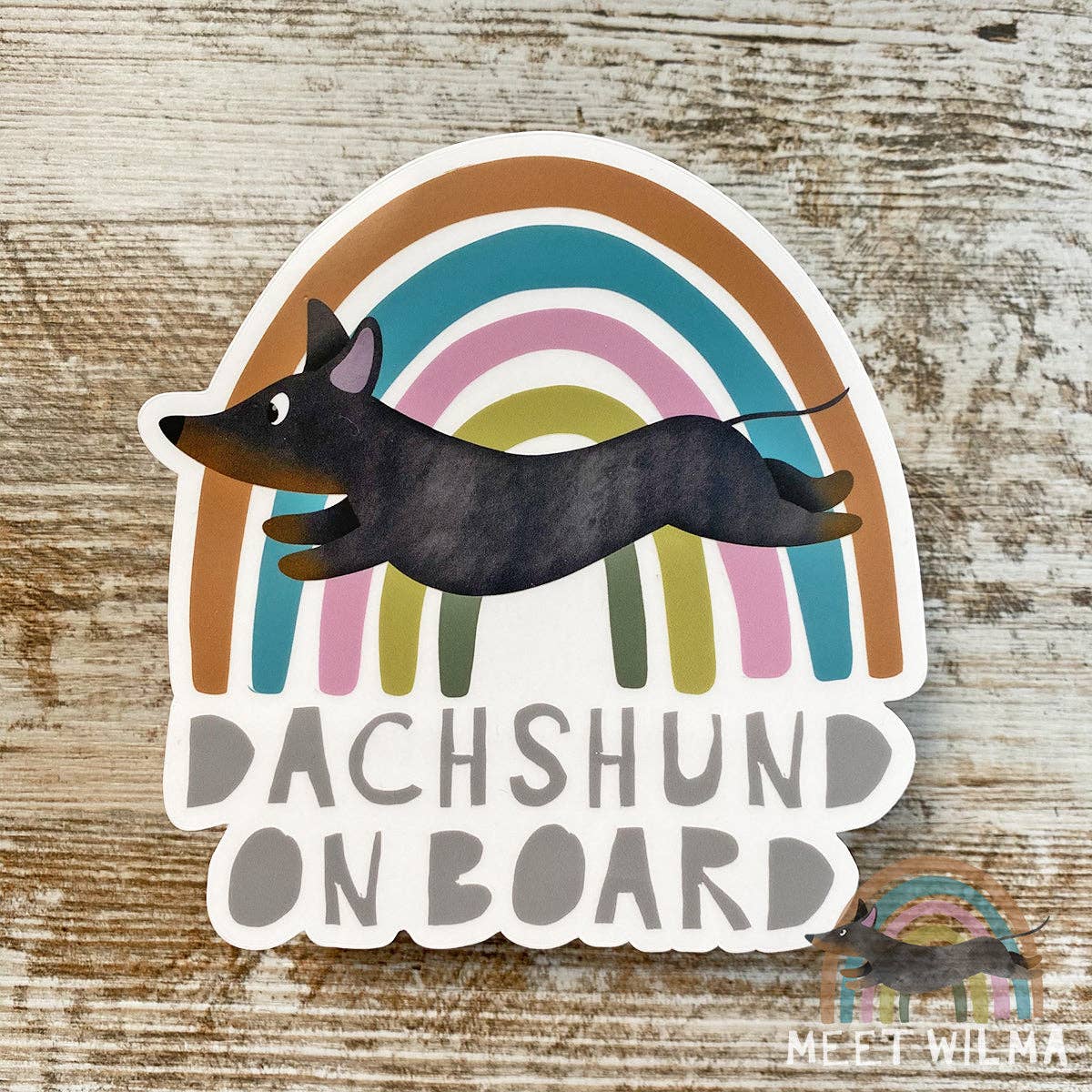 Meet Wilma - Wholesale Sticker - Car Sticker "Dachshund on board"6