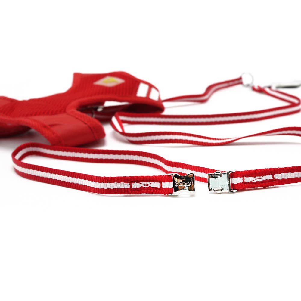 Dogo Pet - Vente Harnais – chien - Harnais EasyGo Basic19