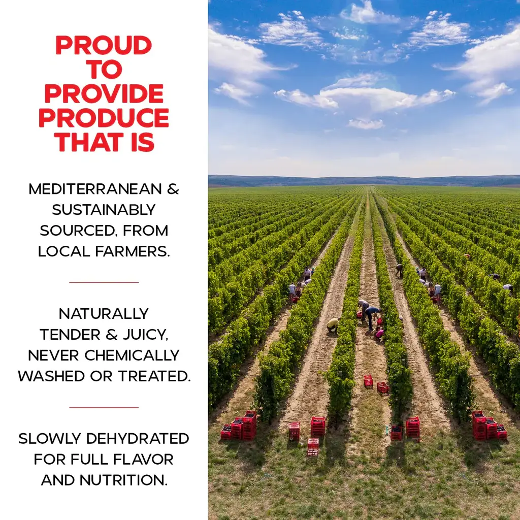 Biggbrands GmbH – Großhandel Fruchtsnacks – Drybox Trockene Apfelchips - Chips Doypack (34g) 1,2OZ6