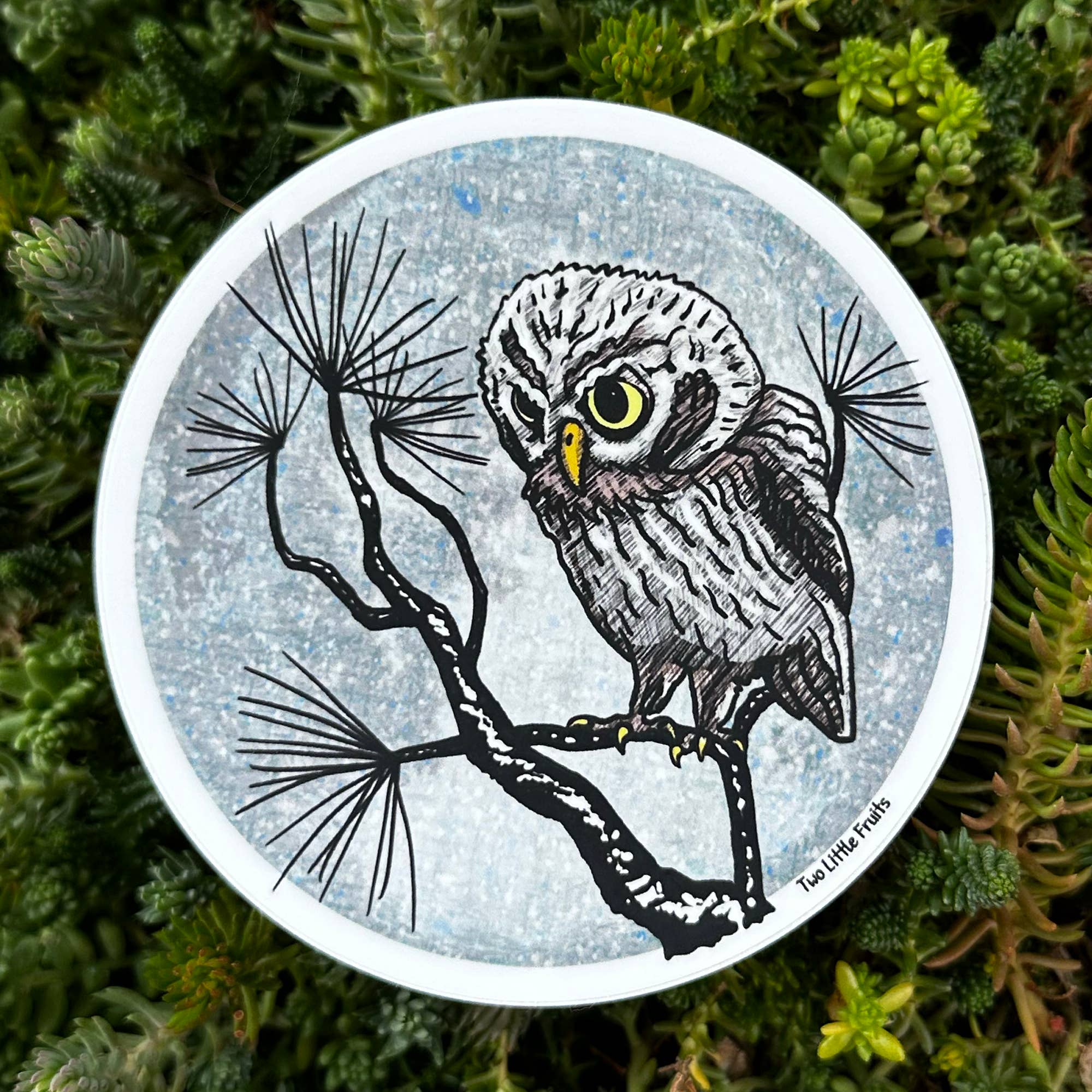 Two Little Fruits - Wholesale Sticker - Moonlight Owl Sticker | Thick Vinyl | UV Laminate1