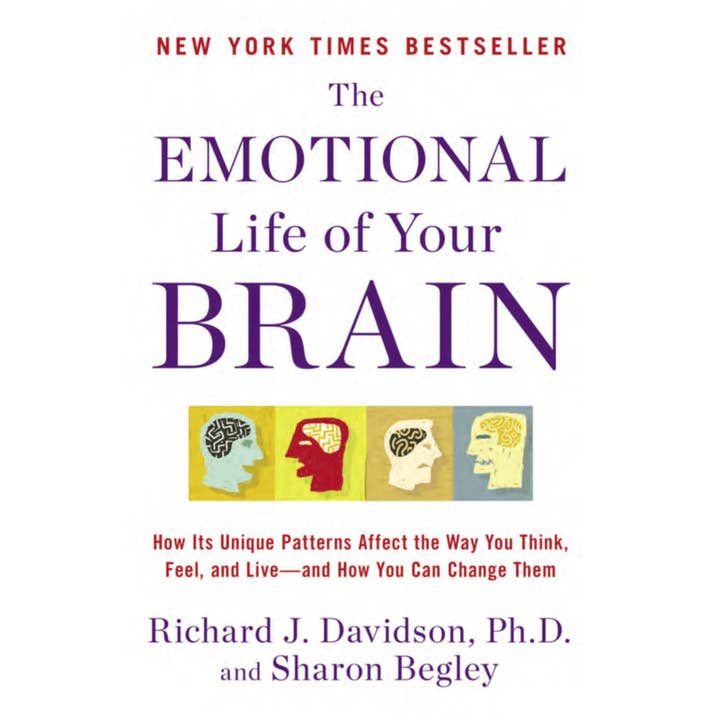 Emotional Life of Your Brain: How Its Unique Patterns Affect for wholesale by Microcosm Publishing & Distribution
