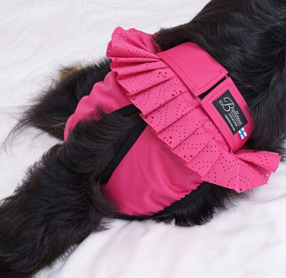 FINNERO – wholesale Husdjursblöja - Hund – FINNERO Ballerina hundhygienbyxor, 5 färger, tvättbara10