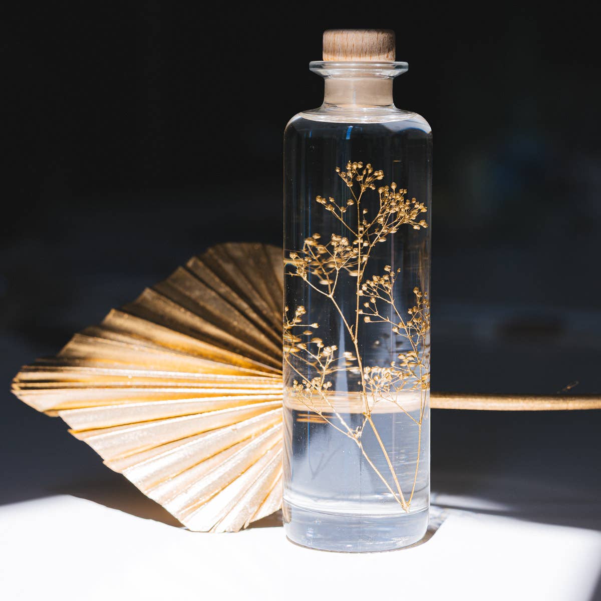 Theophile Berthon - Vente Plante - L'Herbarium Gypsophile Or - plante immergée1