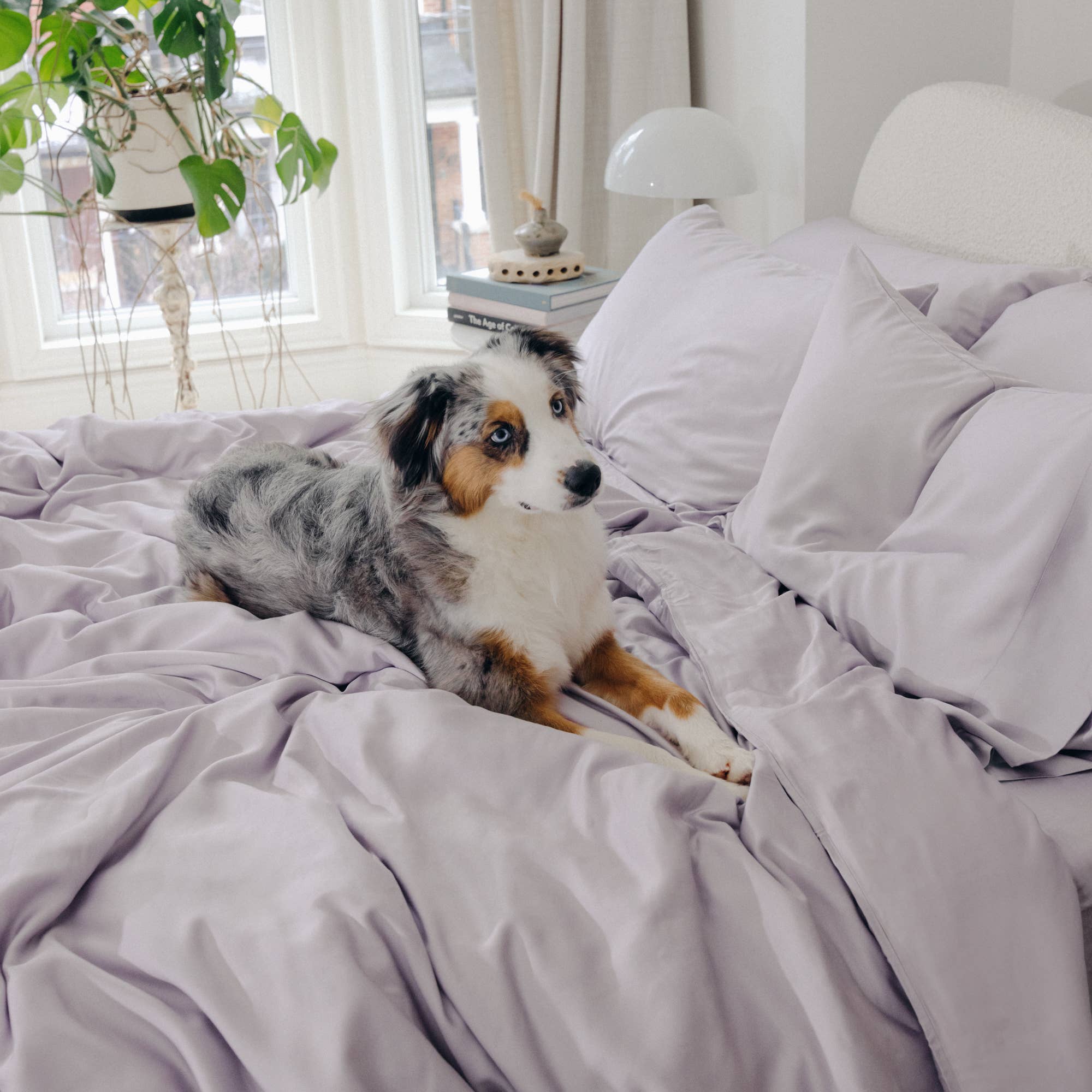 Aeptom - Wholesale Bedding Set - Organic Bamboo Sateen Duvet Cover Set32