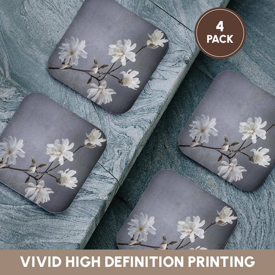 3dRose - Wholesale Coasters - 3dRose, USA, WA, Seabeck. White magnolia flowers and branches. , Coaster12