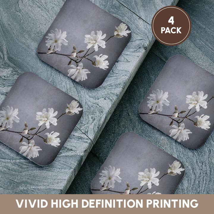 3dRose - Wholesale Coasters - 3dRose, USA, WA, Seabeck. White magnolia flowers and branches. , Coaster12