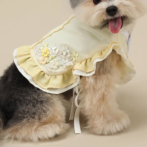 Sunshine Hanbok for wholesale by SunnyPawShop